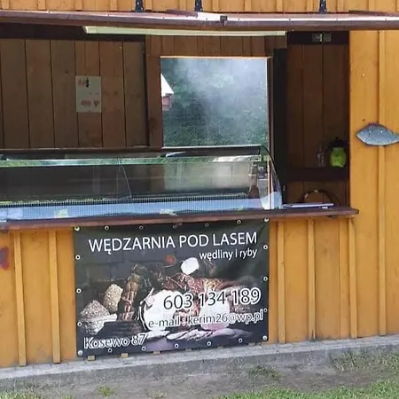 Konukevi Wedzarnia Pod Lasem-noclegi *